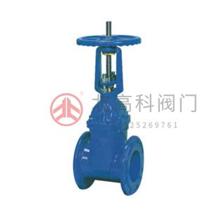 Z45X-10、Z45X-16 彈性座封閘閥